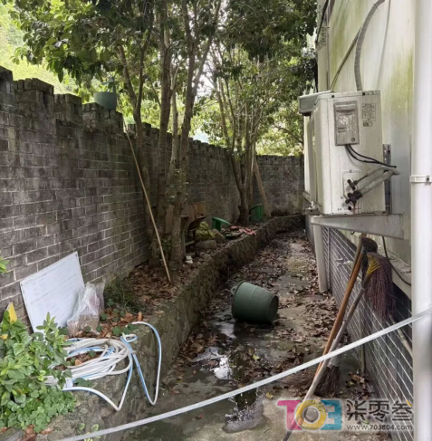 b781cb0943548eeb109645b4fc666f1e.png