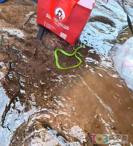 w2.jpg