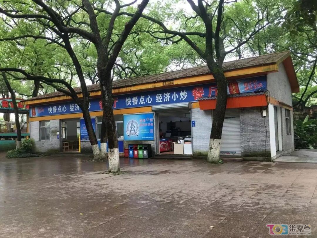 w1.jpg