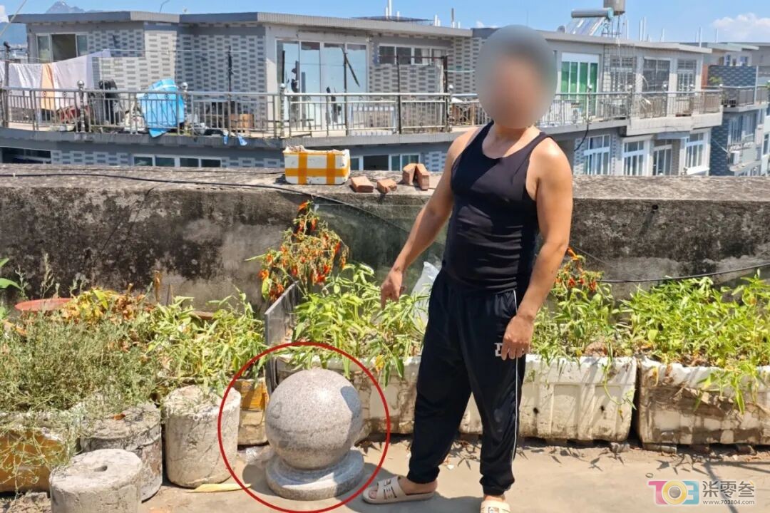 w6.jpg