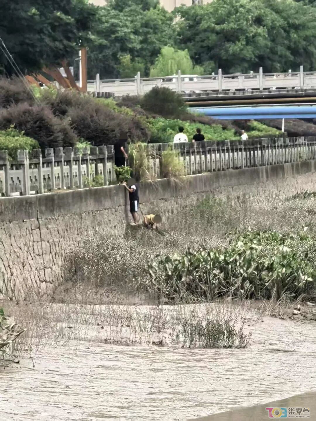 w2.jpg