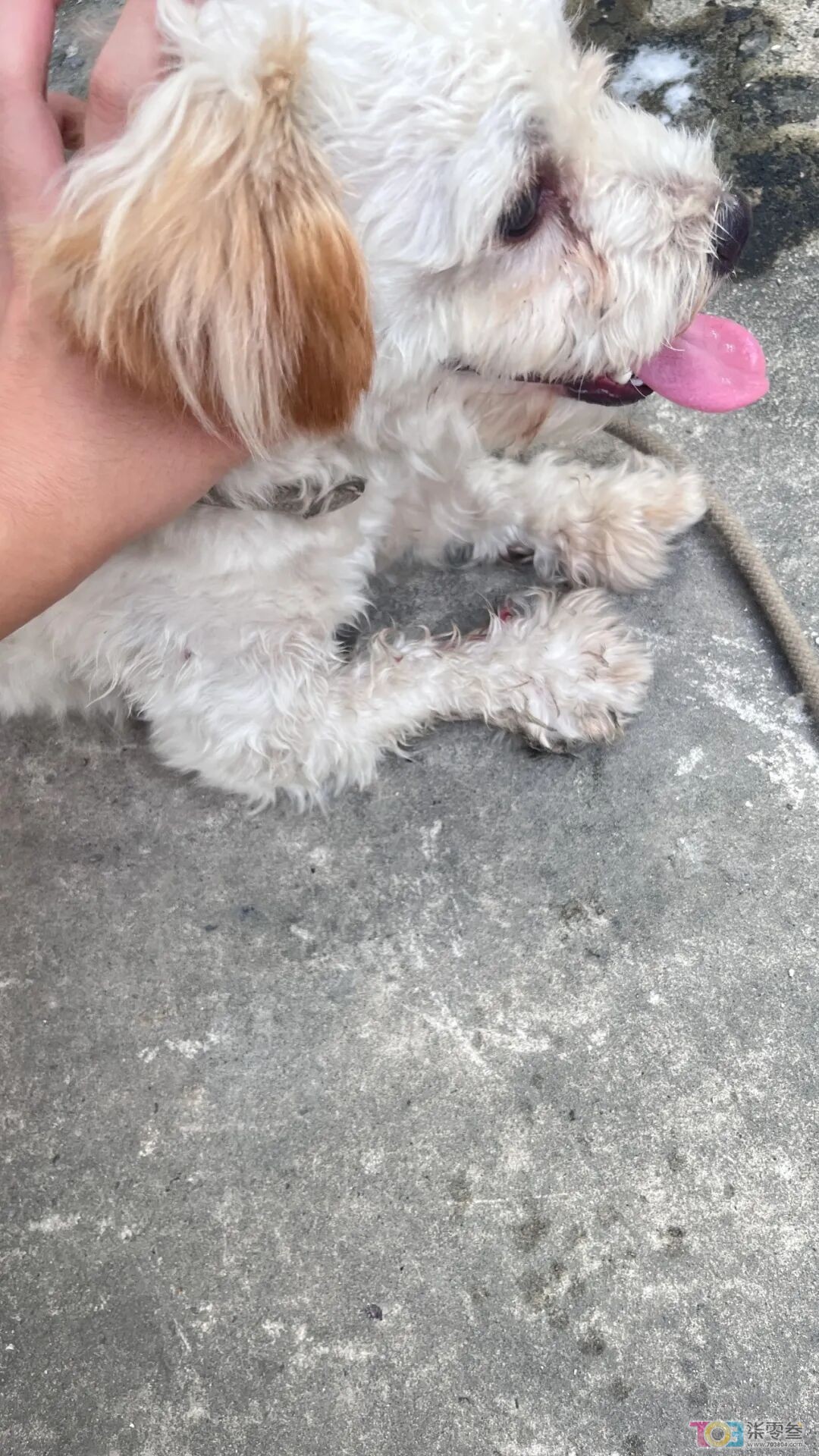 w3.jpg