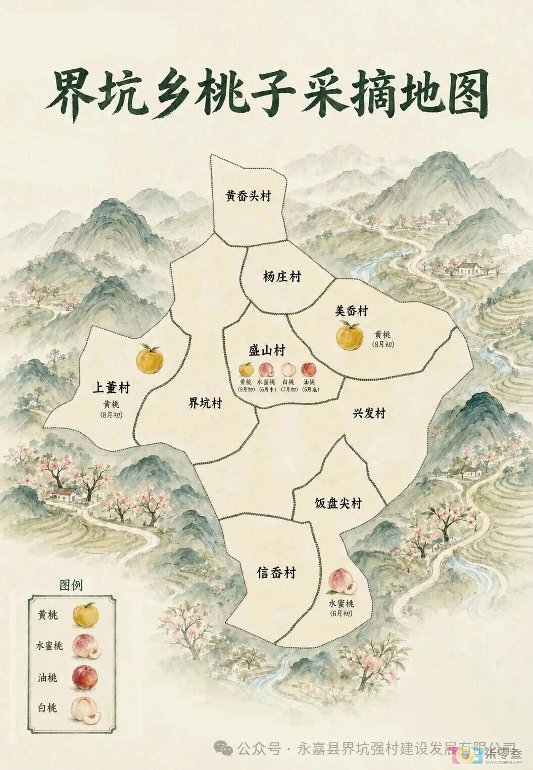 w5.jpg