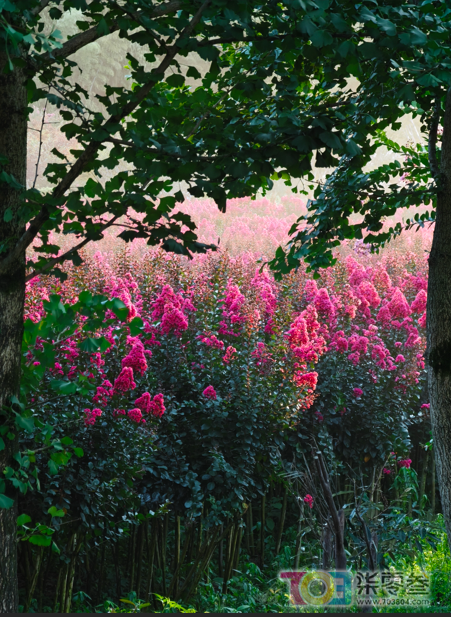 w4.jpg