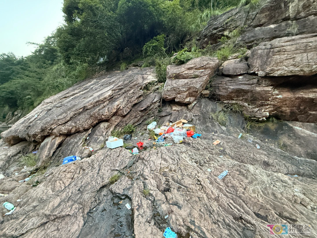 w5.jpg