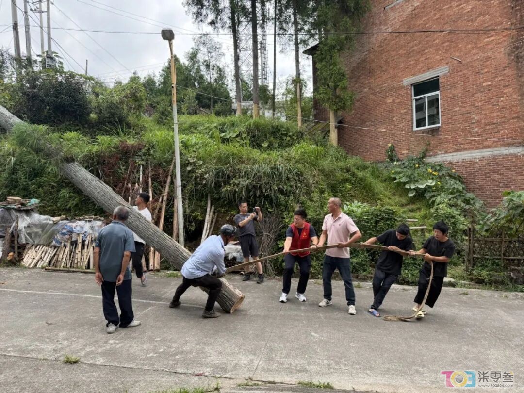 w3.jpg