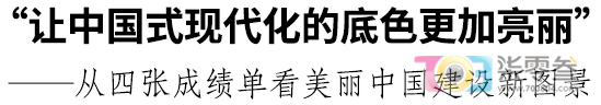 w3.jpg