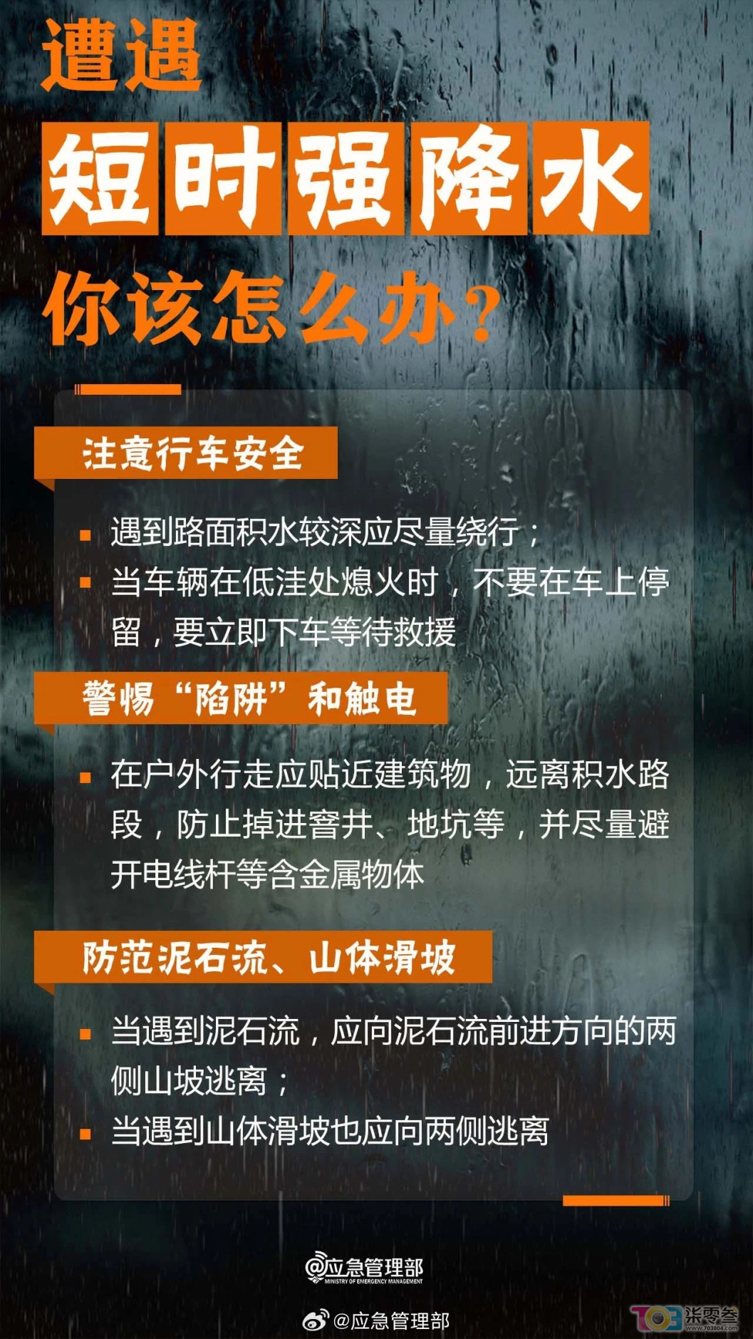 w9.jpg