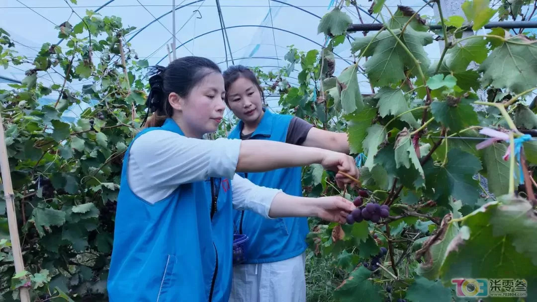 w1.jpg