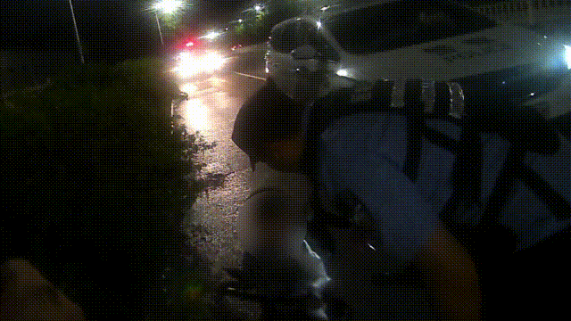 w4.jpg