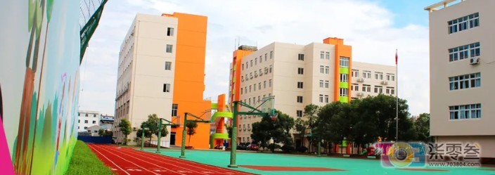 image.jpg
