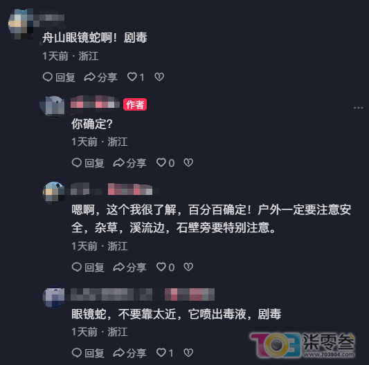 w3.jpg