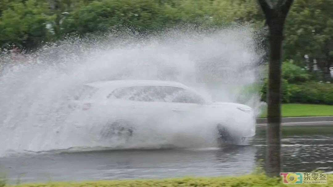 w4.jpg